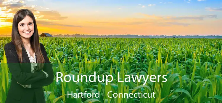 Roundup Lawyers Hartford - Connecticut