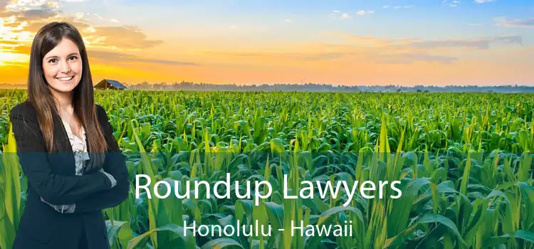 Roundup Lawyers Honolulu - Hawaii