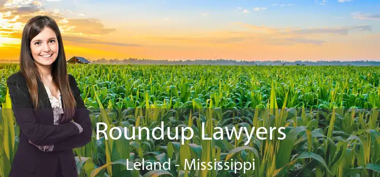 Roundup Lawyers Leland - Mississippi