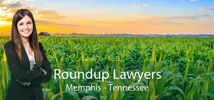 Roundup Lawyers Memphis - Tennessee